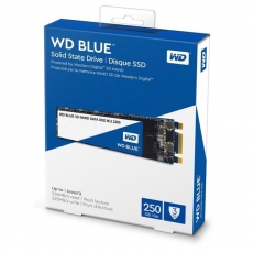 SSD WDS250G3B0C-M2 NVMe  Blue SN570