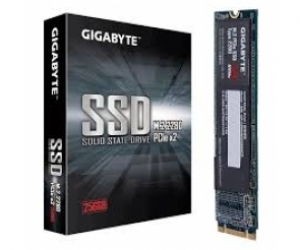 Ổ Cứng SSD Gigabyte  M.2 PCIe 256GB 