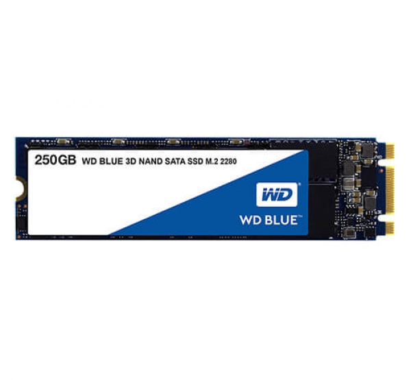 SSD WD WDS250G3X0E-M2 NVMe  Blue SN770 (250GB)