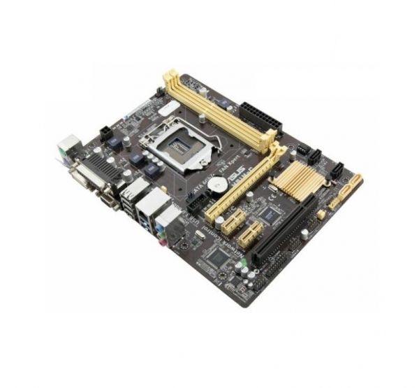 Mainboard ASUS H81M-K