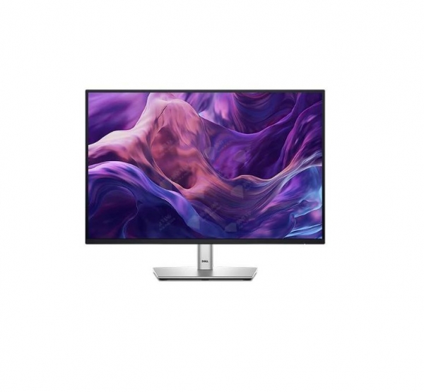 Màn hình LCD Dell P2425H ( 23.8 inch -FHD - IPS - 100Hz)